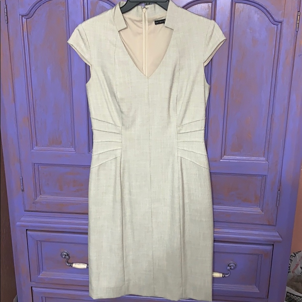 Antonio Melani Dress sz 2.